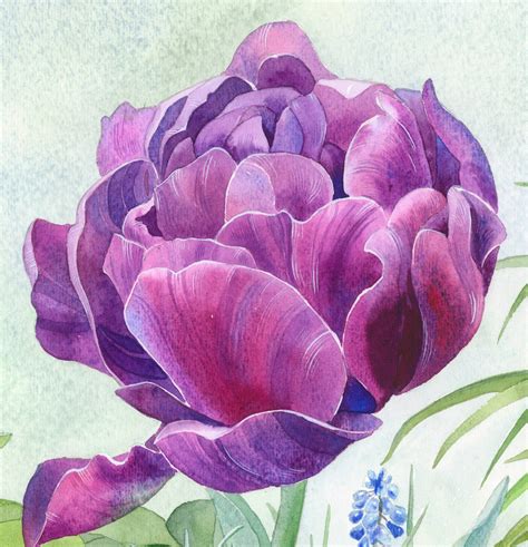 Purple Tulip Painting At Explore Collection Of