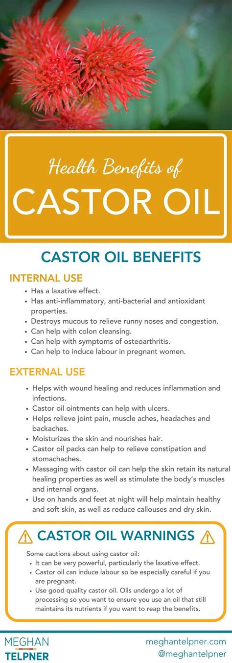 Health Benefits Of Castor Oil Castor Oil Benefits Castor Oil Health