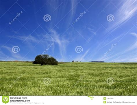 Green Fields And Blue Cloudy Sky Landscape Stock Image