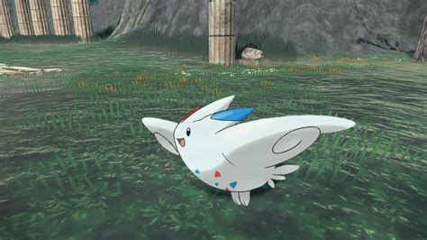 How To Evolve Togepi And Togetic Into Togekiss In Pokemon Legends Arceus