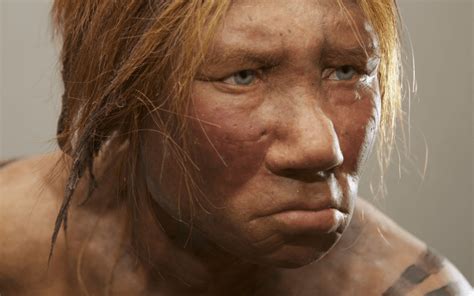Startling Discovery Ancient Mixed Race Girl Had Neanderthal And