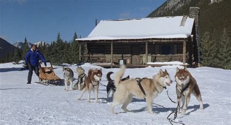 Kutyabajnok ( snow dogs ) 2002 dvdrip dvix 3 hun prémium. Kutyabajnok Teljes Film - Kutyabajnok Online Filmek Teljes ...