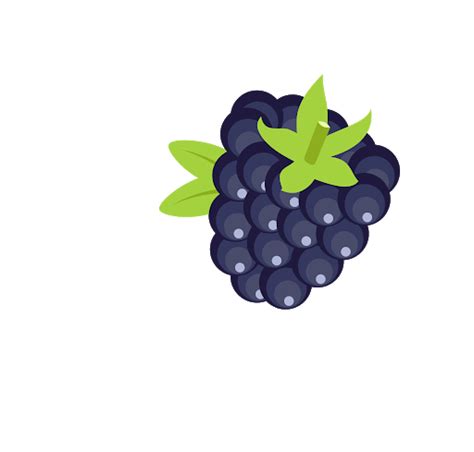 Single Blackberry Fruit Transparent Background Png Play