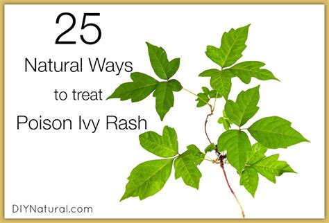 Poison Ivy Treatment Along With 25 Other Natural Rash Remedies