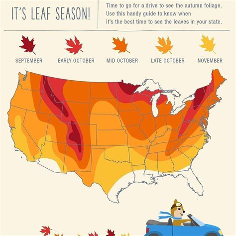 Map Shows The Best Time To See Fall Foliage Across The Us Images