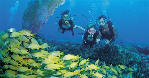 Caribbean bargains: Summer means deals on island travel