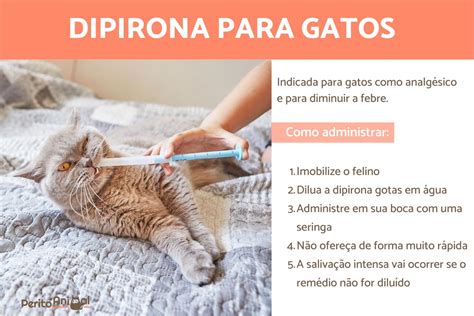 Dose Dipirona Gatos Mg/kg