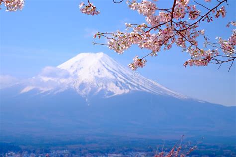 Mt Fuji And Cherry Blossom In Japan Spring Season And X28japanese Cal