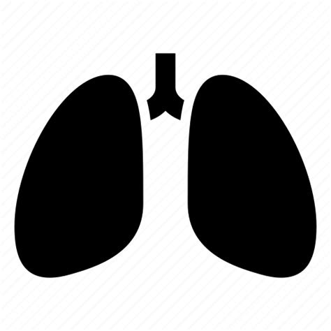 Lungs Breathing Chest X Ray Anatomy Tuberculosis Svg Png Icon Free