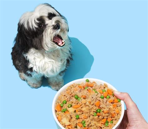 Pet plate have four different recipe options so we have reached the end of our pet plate review. 5 Best Customized Dog Foods 2021 Reviews: Custom Eats ...