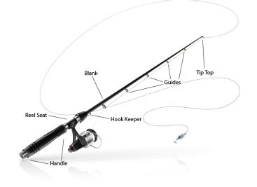 Sebagai rekomendasi, berikut ini lima belas merk reel dengan kualitas terbaik yang bisa anda pilih saat akan melakukan kegiatan memancing. Tips Mancing, Cara Memilih Joran Pancing Terbaik ~ Aliems ...