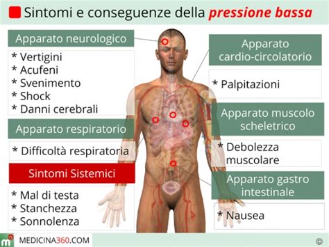 Sintomi E Conseguenze Della Pressione Bassa Guida Completa