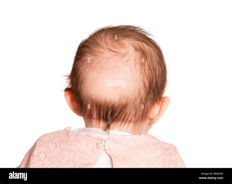Baby Bald Patch Studio Cutout Stock Photo Alamy