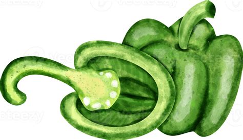 Free Watercolor Bell Pepper Clip Art 23296510 Png With Transparent