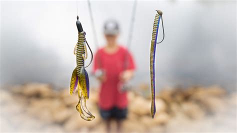 Top 4 Baits For Summer Pond Fishing Bank Fishing Tricks — Tactical