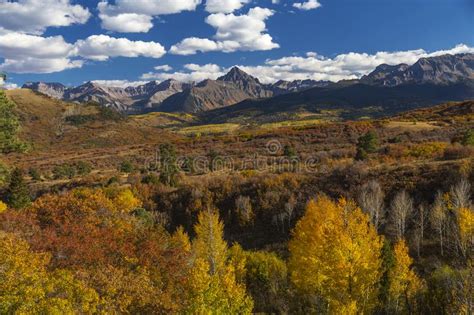 Colorado Aspen Fall Color In The Rocky Mountains Kebler Pass Stock