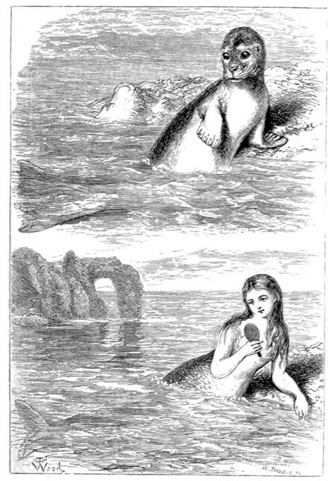 Monster Or Missing Link The Mermaid And The Victorian Imagination