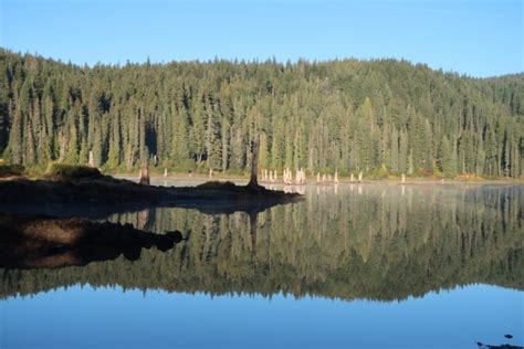Goose Lake Campground Ford Pinchot National Forest Washington
