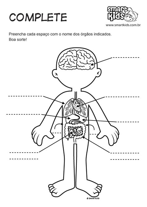 Atividade Corpo Humano Complete Órgãos Atividades Smartkids