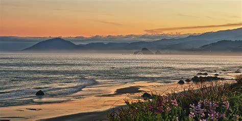 Oregon Coast Sunset Stock Image Image Of North Humbug 43306493
