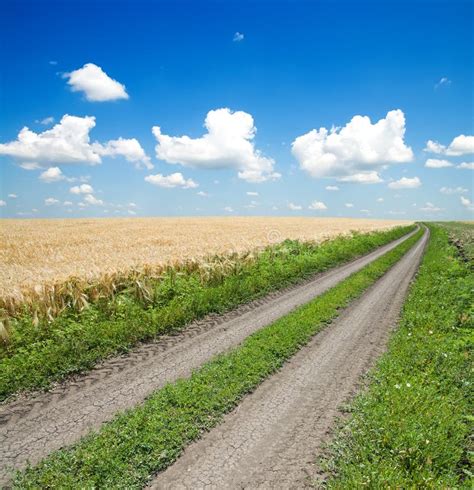 Rural Road Stock Photo Image Of Countryside Ecology 18250378