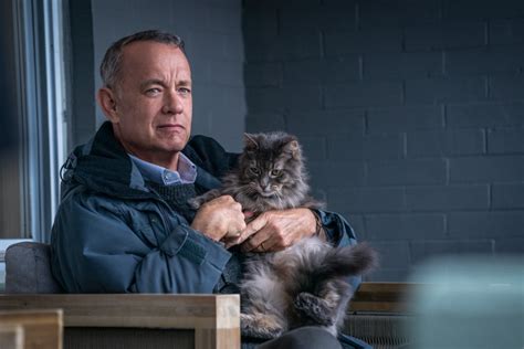 New A Man Called Otto Trailer Marc Forsters Latest With Tom Hanks