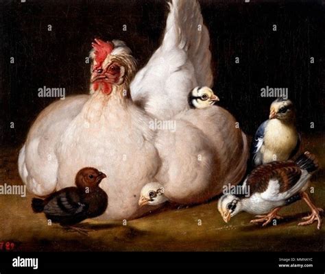 White Hen With Chickens First Half Of 18th Century Hamilton White