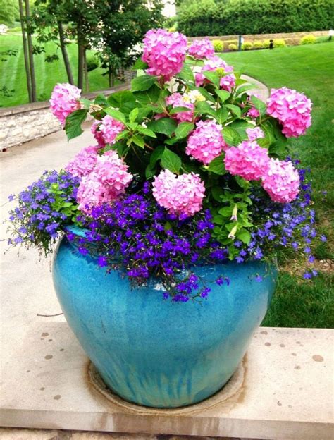 Pansy painted tool trough flower box Summer Container Planting | Patio flower pots, Flower pots ...
