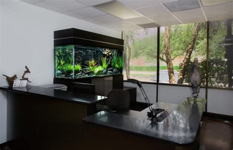 17 Remarkable Aquarium Designs To Enhance And Beautify Your Interior