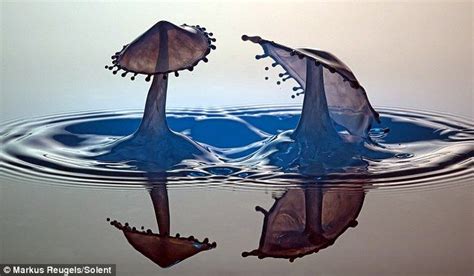 Eau Water Picture Artist Makes A Splash With His Amazing Portfolio Of