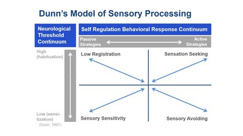 Dunn S Model Of Sensory Processing Video Carrie Ciro Medbridge Youtube