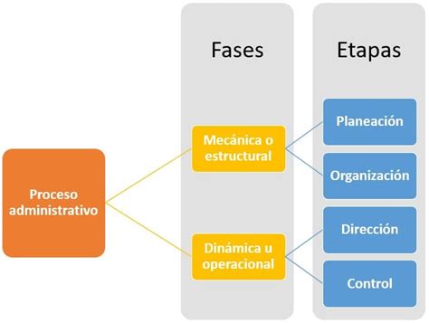 Las Ramas De La Administracion Etapas Del Proceso Administrativo