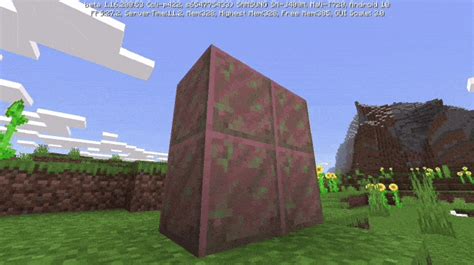 If you will any other thing to mine it, you will get nothing. Spyglass Addon (Minecraft Bedrock 1.16.200+) | Minecraft ...