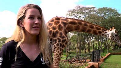 It has generally arisen for consideration by the high court sitting in its capacity as the court of disputed returns. Ellie Goulding in Kenya for new UN environment role - BBC News