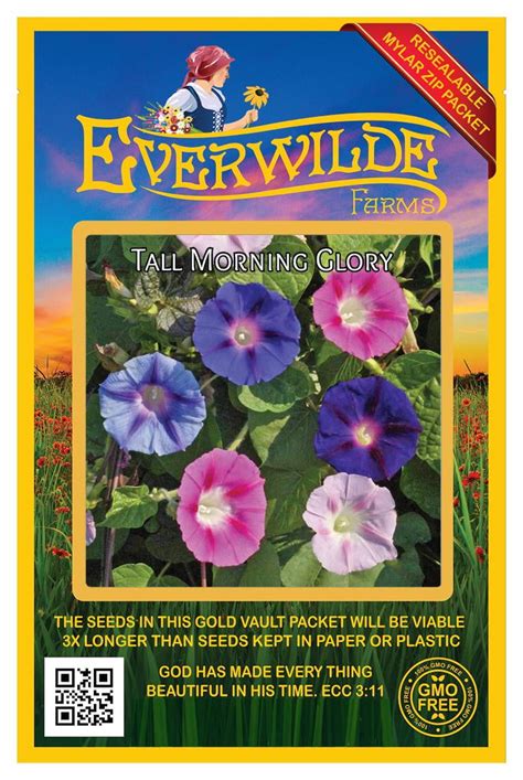 Everwilde Farms 50 Tall Mixed Morning Glory Garden Flower Seeds