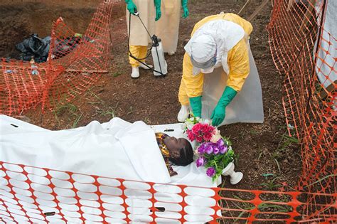 In africa, a particular variety of fruit bat is considered the reservoir of. Ebola in Westafrika: Ärzte ohne Grenzen kann nicht überall ...