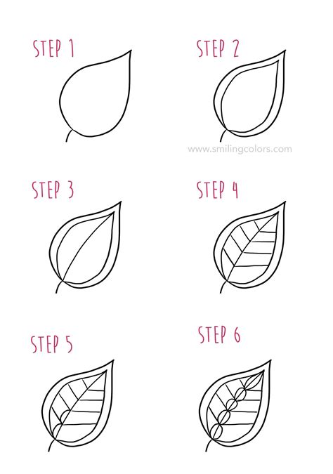 A variety of types, sizes and positions will my experience is that some are easiest to draw when you start with veins first, and the leaf shape around. Leaf drawing step by step Tutorial, start doodling today!