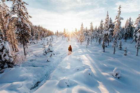 10 Exhilarating Ways To Experience The Lapland Landscape You Can Only