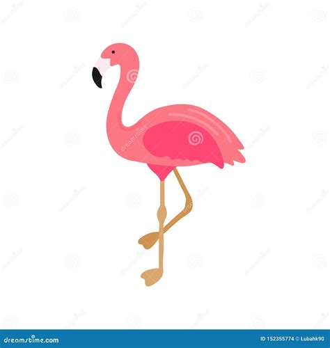 Pink Flamingo Illustration Isolated On White Background Hand Drawn