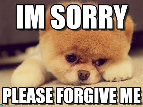 best 21 i m sorry memes so life quotes sorry memes i m sorry memes sorry images