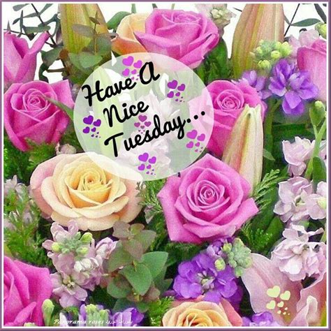 Tuesday Good Morning Cards Tuesday Morning Morning Images Blessed