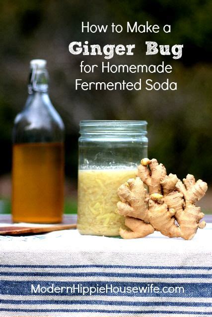 How To Make A Ginger Bug For Homemade Fermented Soda Modern Hippie
