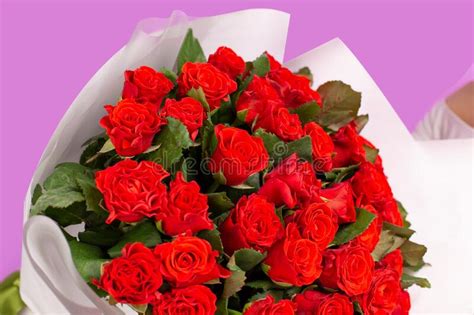 Red Roses In A Huge Beautiful Bouquet Stock Image Image Of Brunette