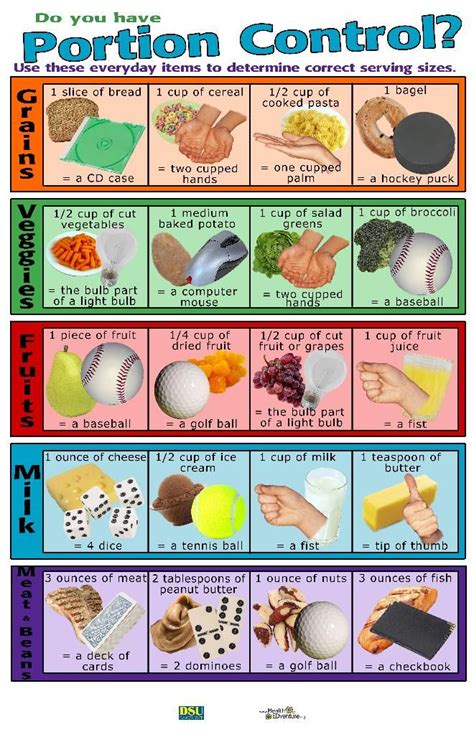 Image Result For Portion Sizes Handout Food Portion Sizes Food