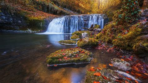 Waterfall In The Autumn Forest Backiee