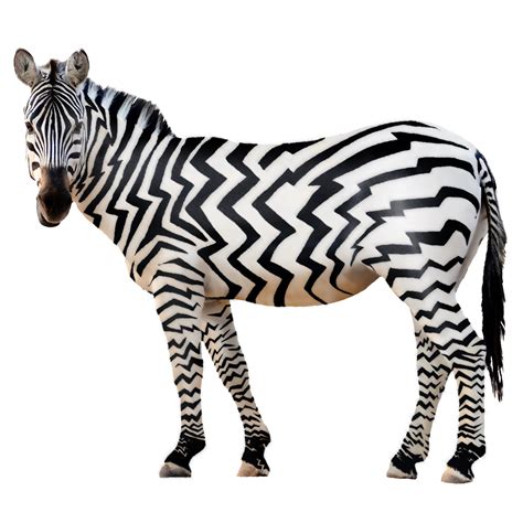 Zebra PNG image