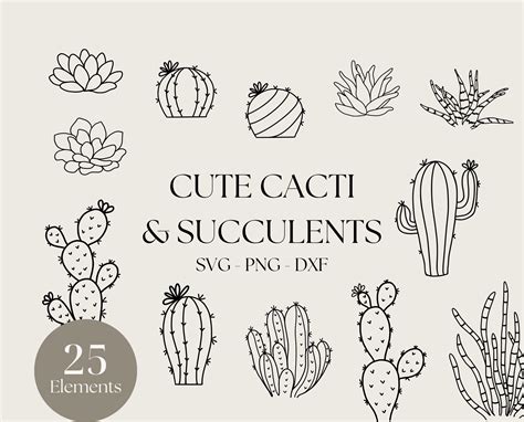 Cactus Svg Succulent Svg Cute Cactus Png Plant Svg Cut Etsy