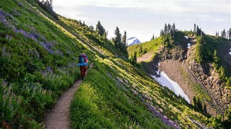 Olympic National Park Backpacking Treks And Tours Wildland Trekking