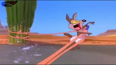 Baby Wile E Coyote Vs Roadrunner A Classic Cartoon Show Hd Little Red