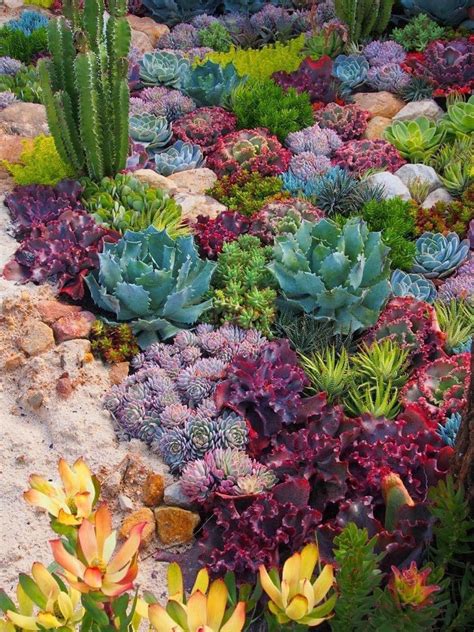 Succulent Garden Ideas For Uniqueness And Intrigue In Your Garden Bloggarden Cafex Biz